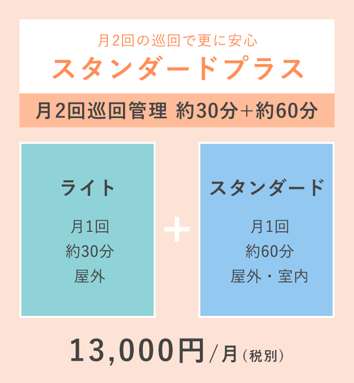 スタンダードプラス 月2回巡回管理 約30分+約60分 13,000円/月